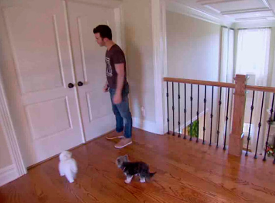 Married to Jonas Married to Jonas